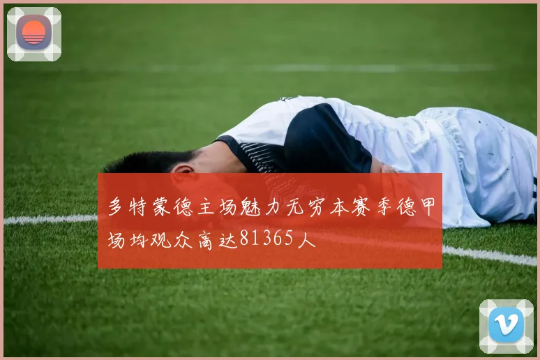 多特蒙德主场魅力无穷本赛季德甲场均观众高达81365人